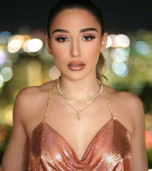 Abella Danger Career